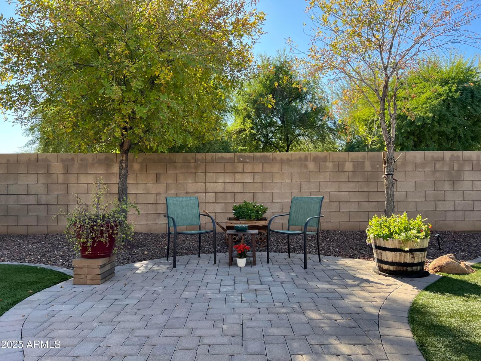 10605 W Catalina Drive, Avondale, AZ 85392 — photo 56 of 59