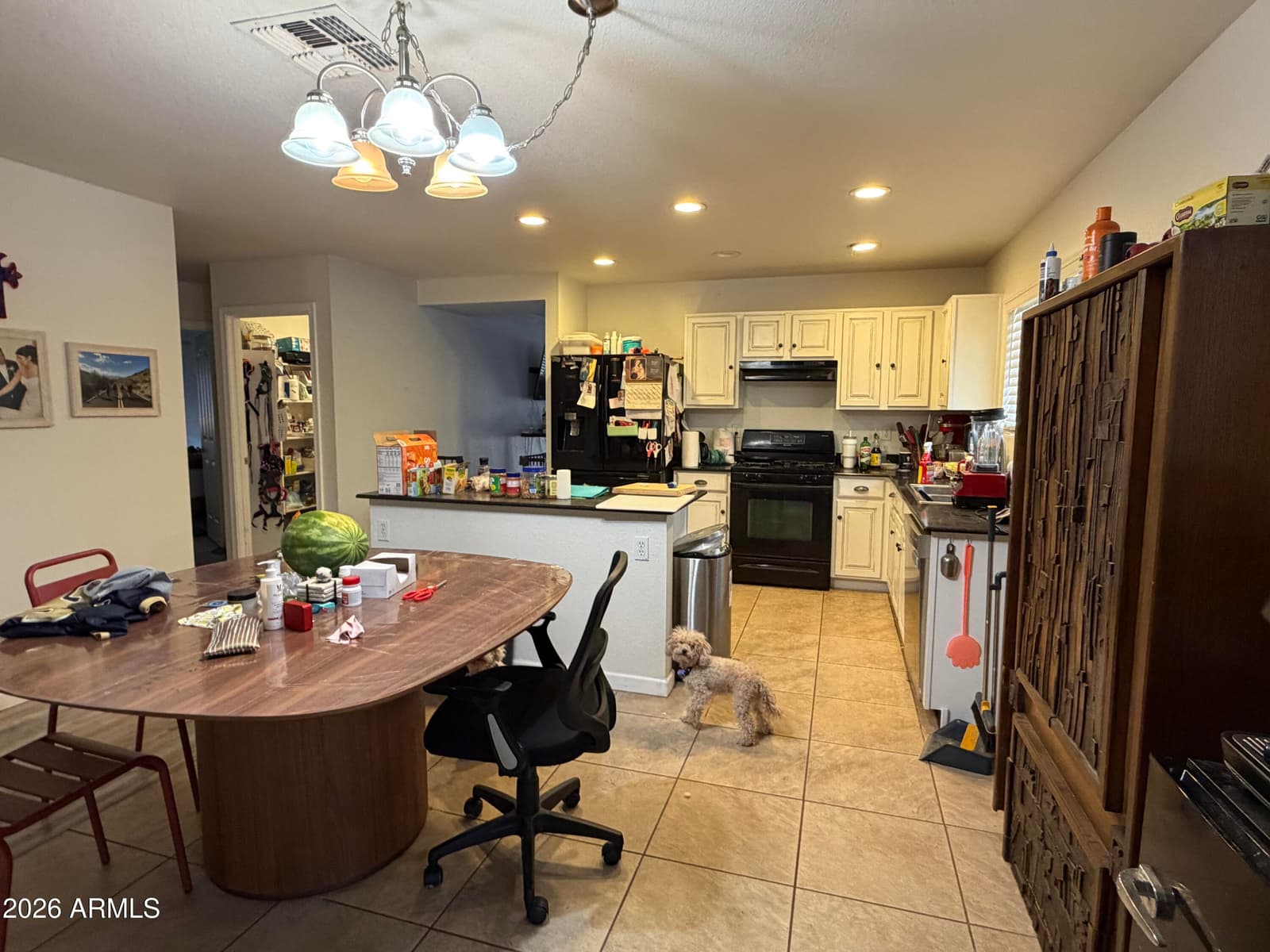1117 E GWEN Street, Phoenix, AZ 85042 — photo 9 of 22