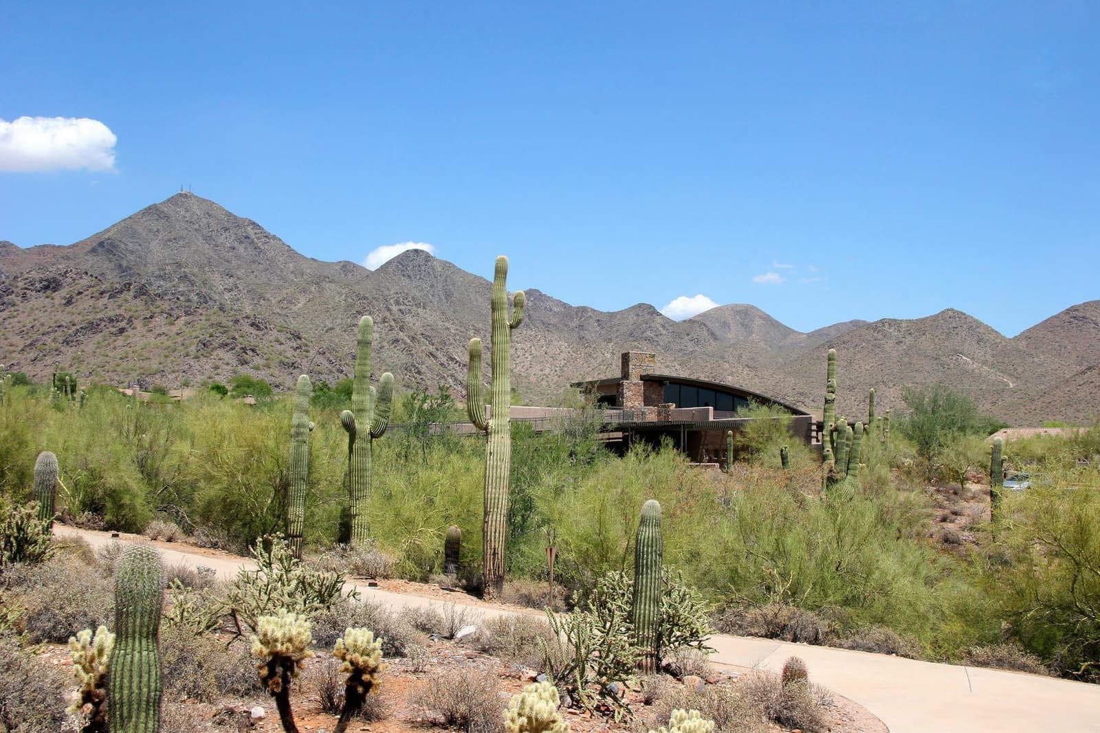 10354 E RAINTREE Drive, Scottsdale, AZ 85255 — photo 35 of 48