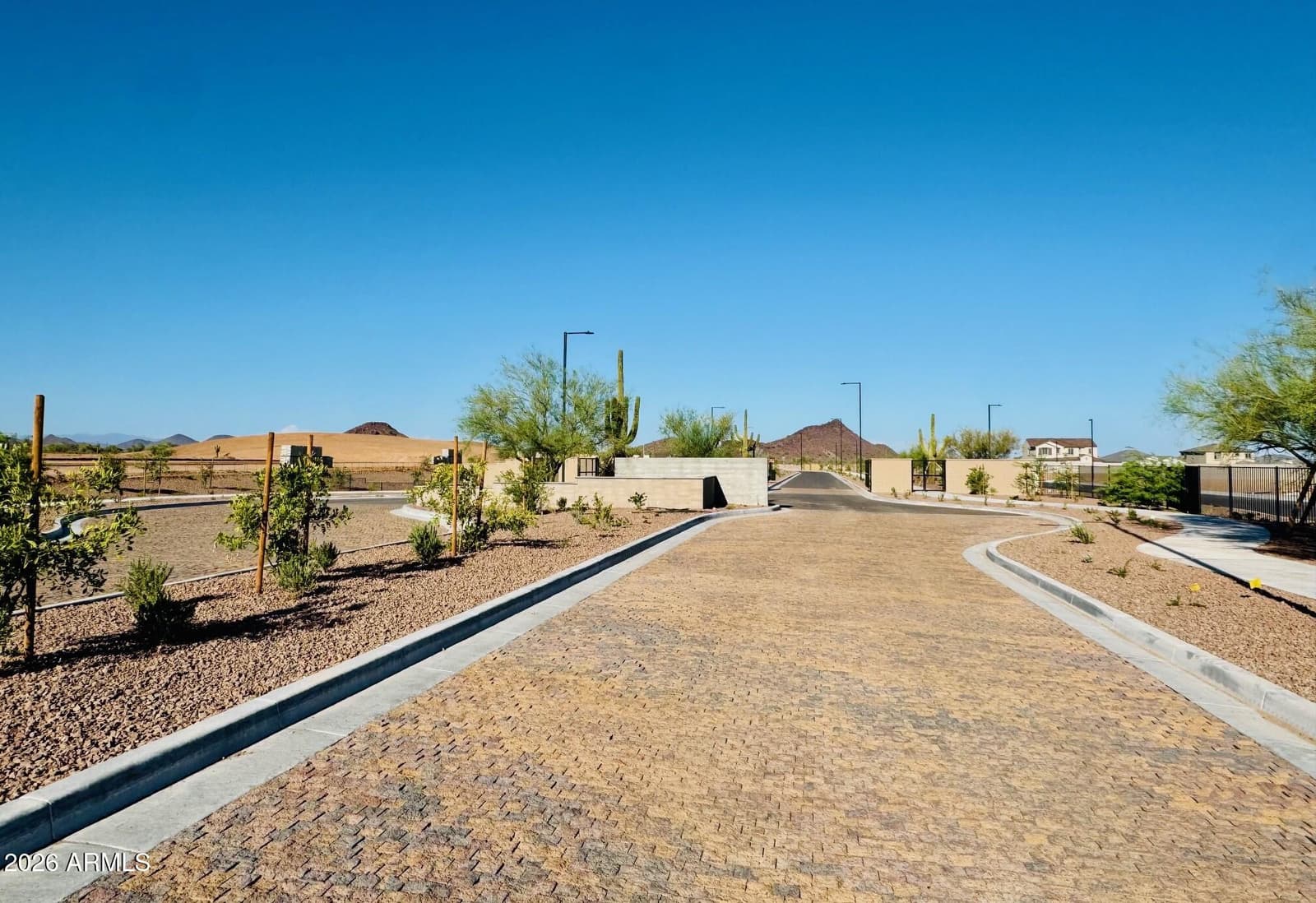 16199 W RED BIRD Road, Surprise, AZ 85387 — photo 7 of 9