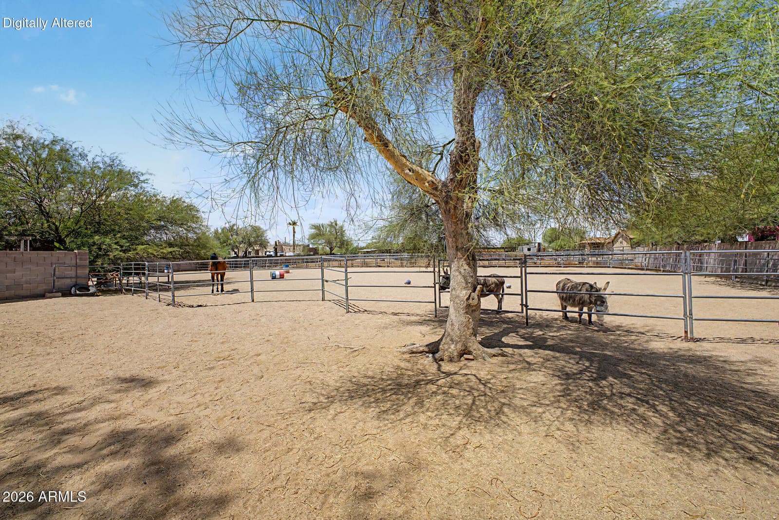 4516 E PINNACLE VISTA Drive, Cave Creek, AZ 85331 — photo 40 of 42