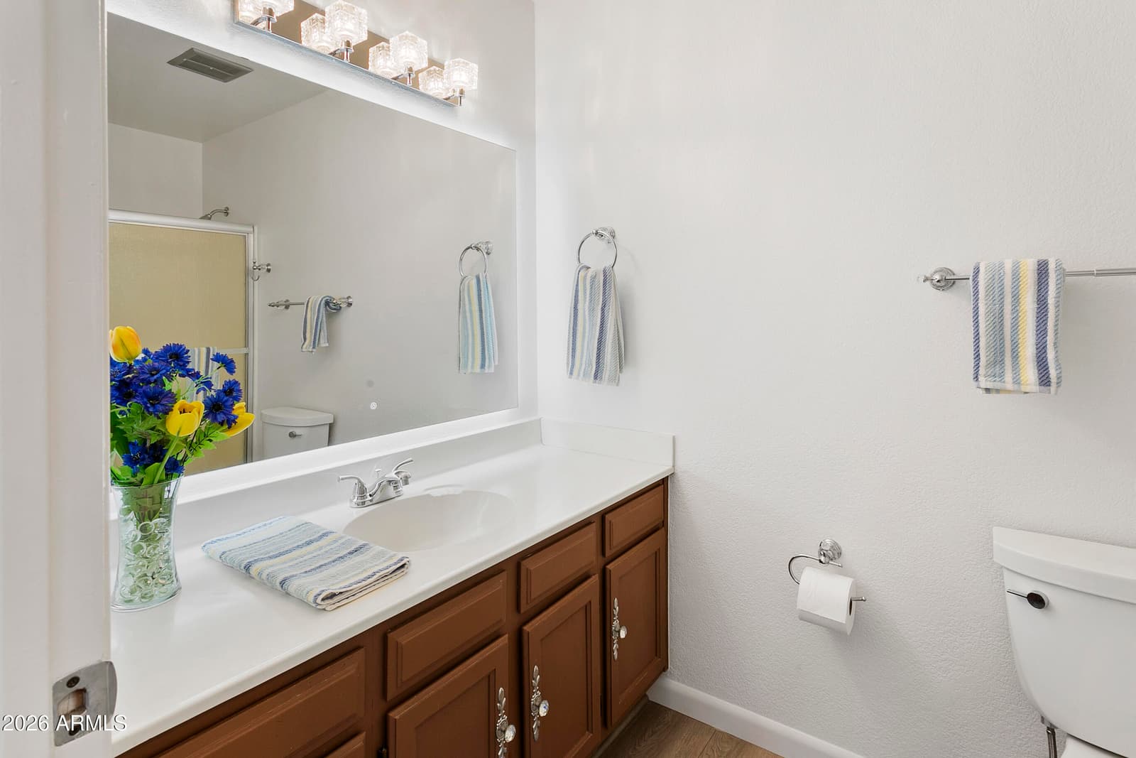 2204 N SANTA ANNA Court, Chandler, AZ 85224 — photo 18 of 25
