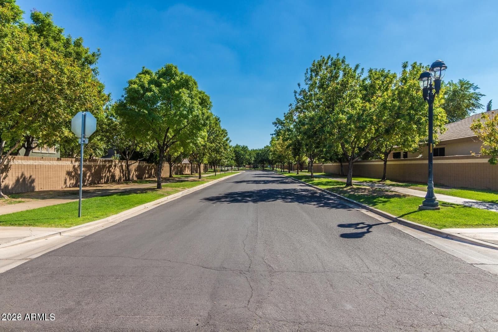 2950 E COMSTOCK Drive, Gilbert, AZ 85296 — photo 57 of 57