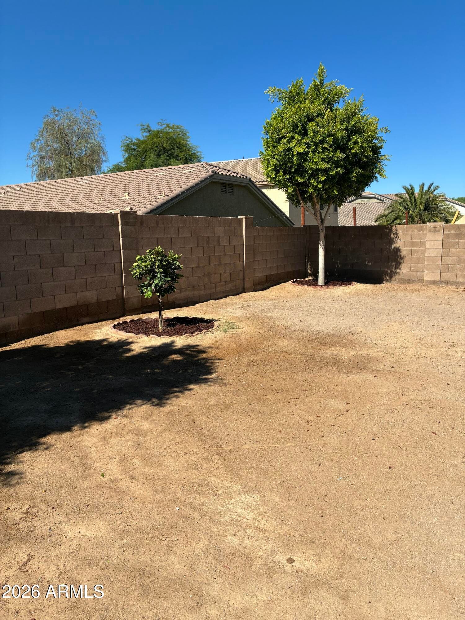 23845 W Chambers Street, Buckeye, AZ 85326 — photo 39 of 39