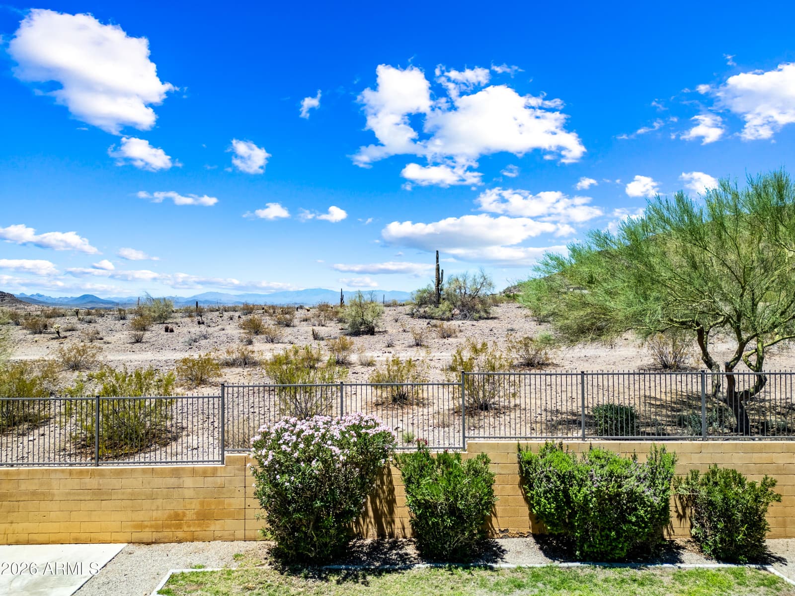 9114 W White Feather Lane, Peoria, AZ 85383 — photo 5 of 39