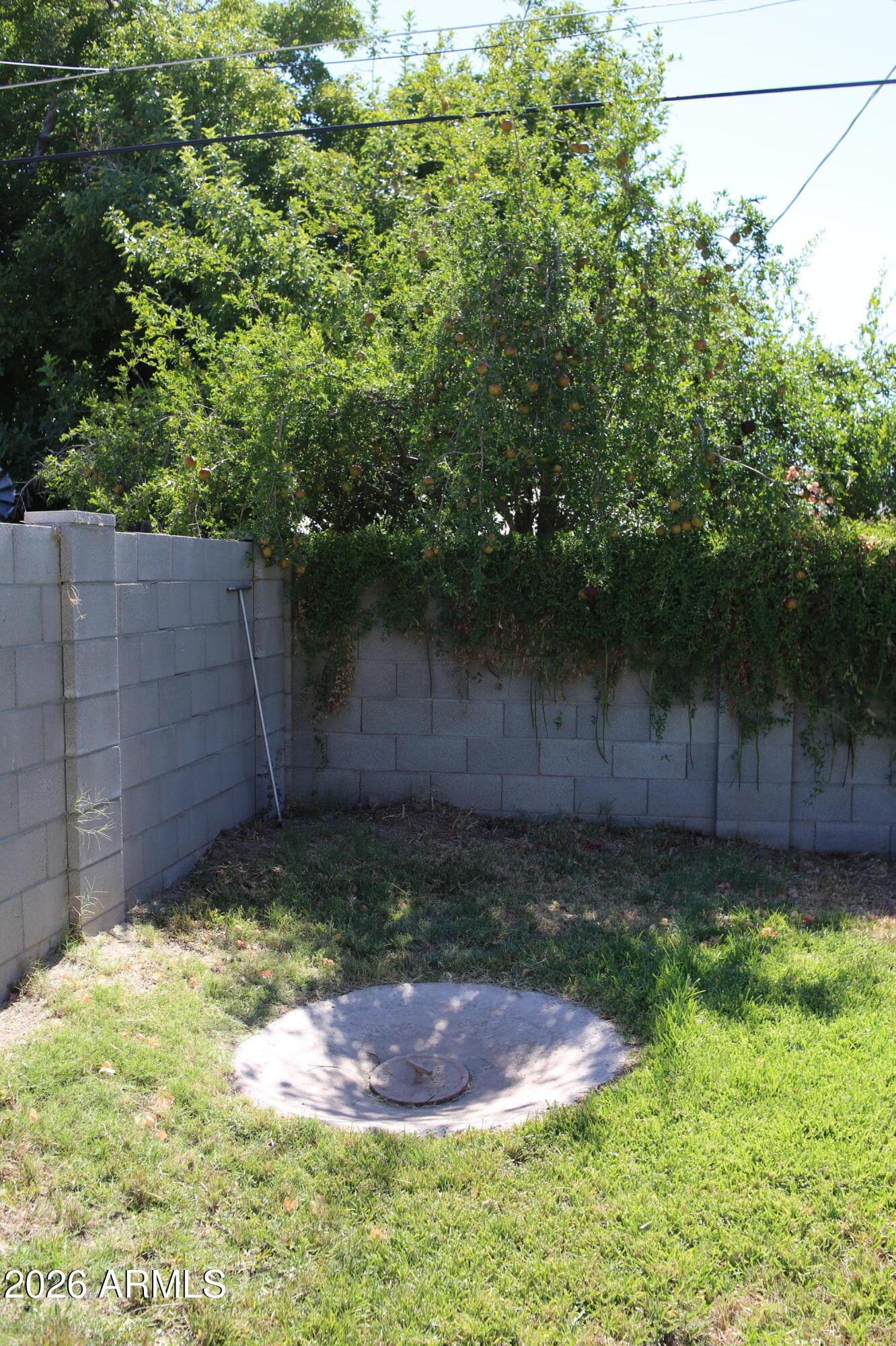 502 N Ashland, Mesa, AZ 85203 — photo 46 of 48