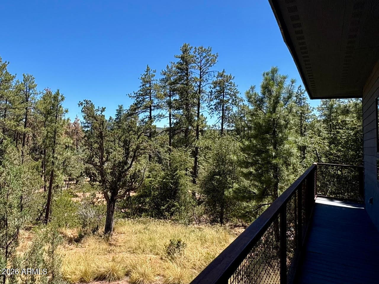 6719 W Pine Cone Trail, Pine, AZ 85544 — photo 43 of 50
