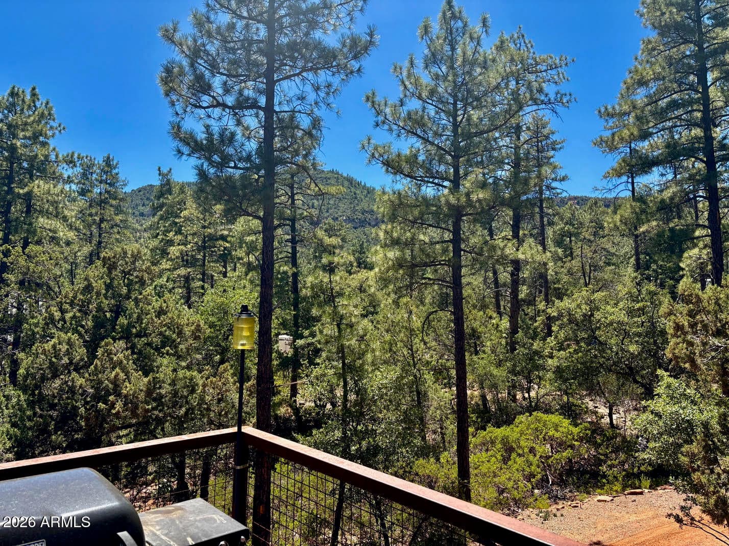 6719 W Pine Cone Trail, Pine, AZ 85544 — photo 47 of 50