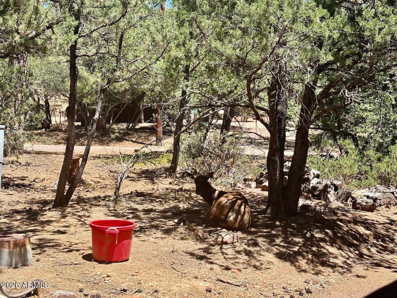 6719 W Pine Cone Trail, Pine, AZ 85544 — photo 48 of 50