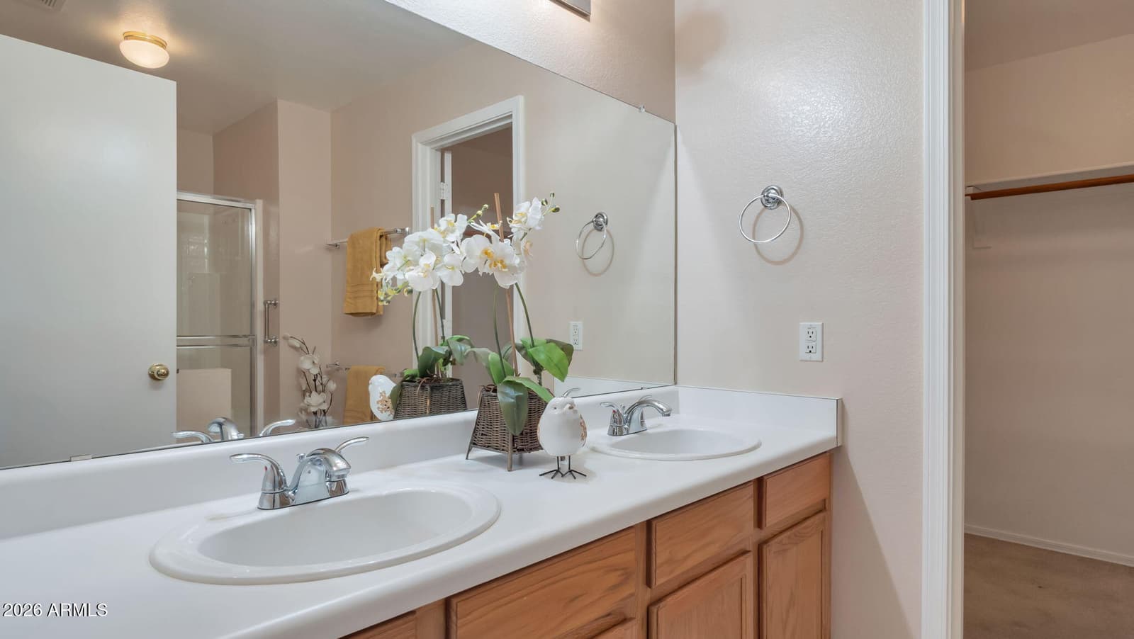 22341 N 107TH Drive, Peoria, AZ 85373 — photo 12 of 23