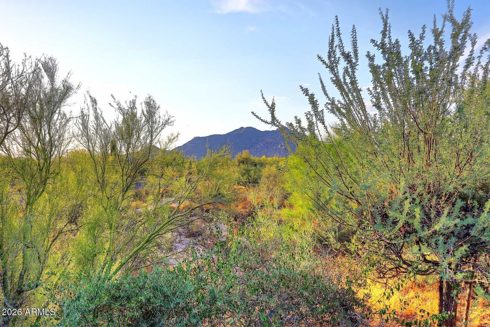 7228 E CRIMSON SKY Trail, Scottsdale, AZ 85266 — photo 32 of 58