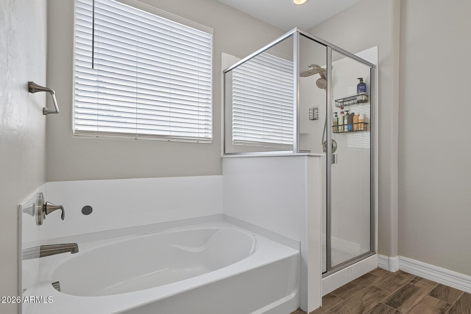 18828 W Palo Verde Drive, Litchfield Park, AZ 85340 — photo 11 of 26