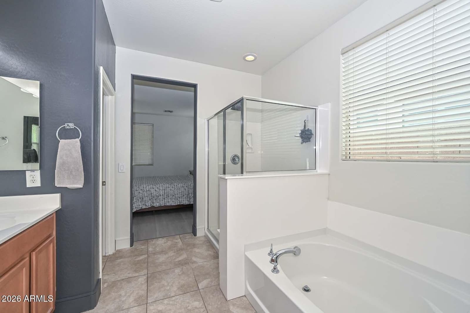 10218 W LEVI Drive, Tolleson, AZ 85353 — photo 17 of 30