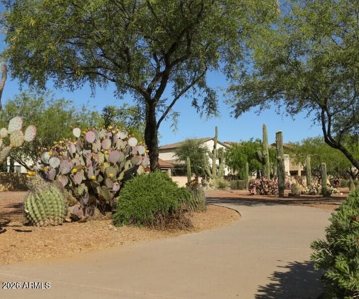 304 E WESTERN HEMLOCK Place, Sahuarita, AZ 85629 — photo 42 of 50