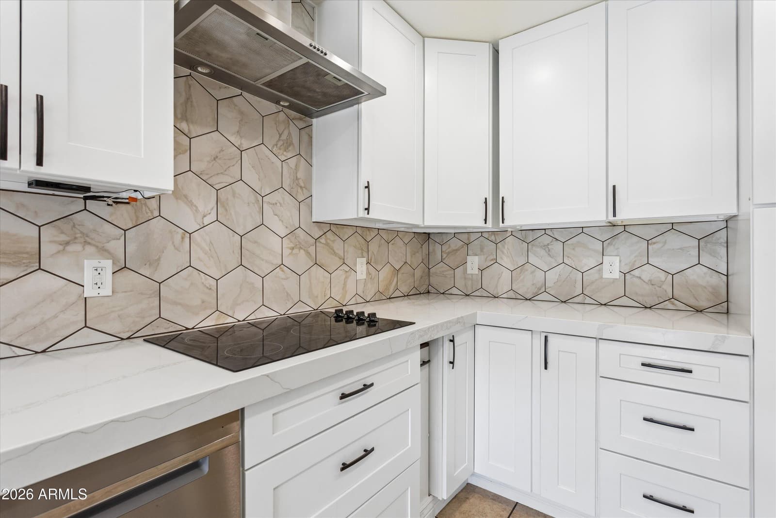 18100 N CATHERINE Drive, Surprise, AZ 85374 — photo 15 of 46