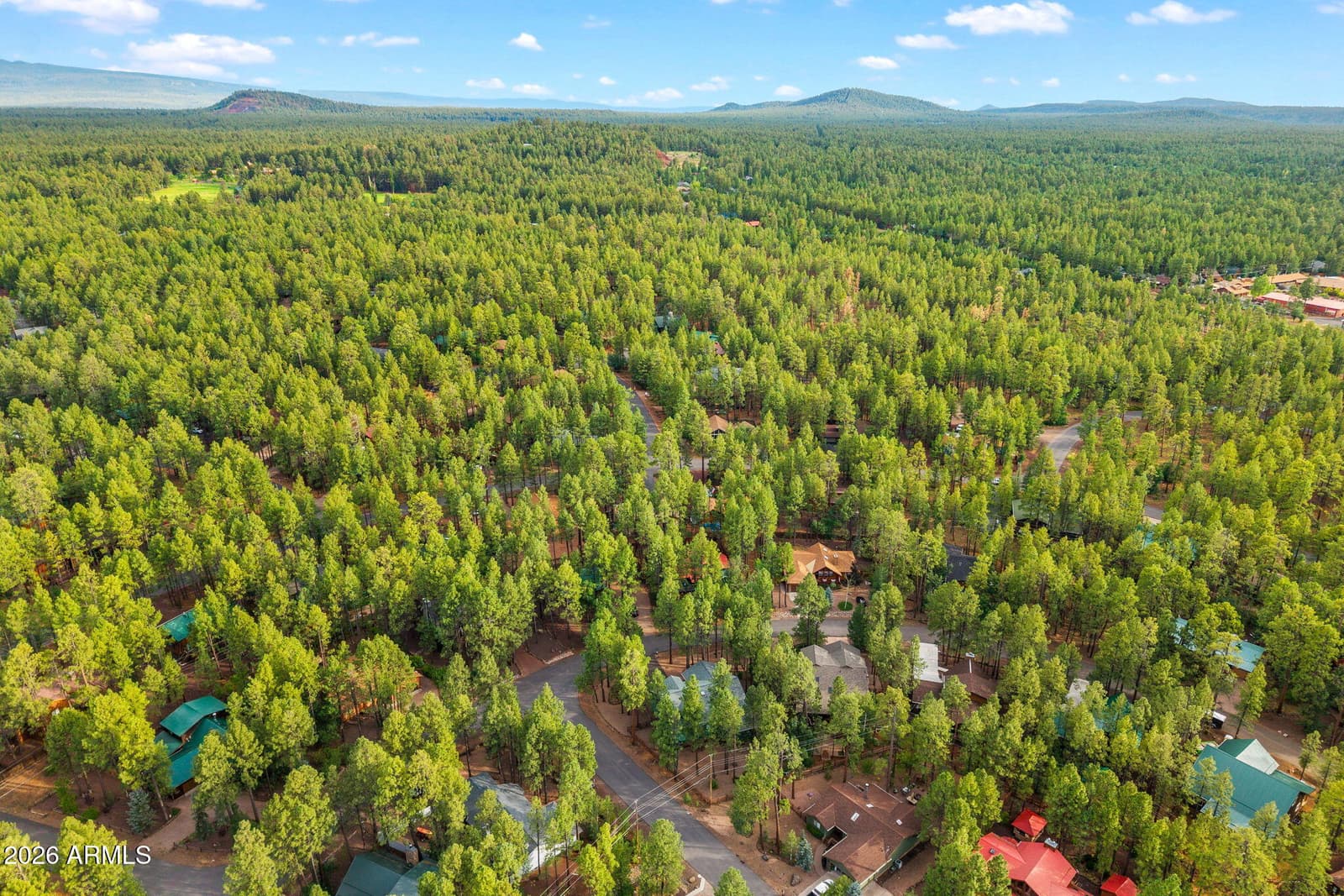 6378 Christmas Tree Circle, Pinetop, AZ 85935 — photo 49 of 72