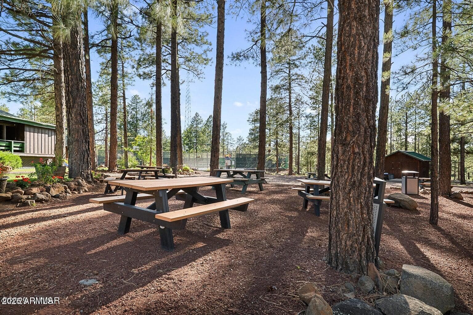 6378 Christmas Tree Circle, Pinetop, AZ 85935 — photo 68 of 72