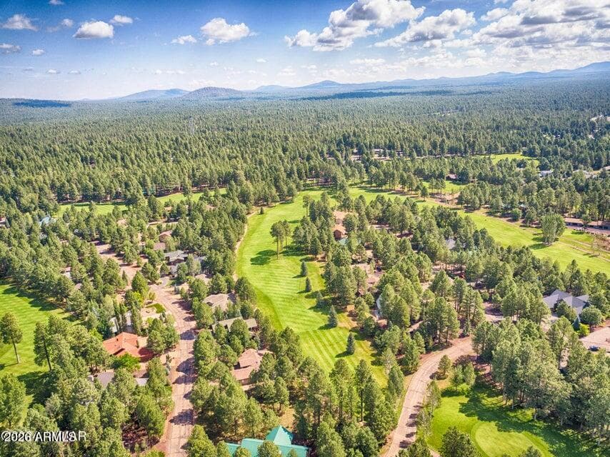 6378 Christmas Tree Circle, Pinetop, AZ 85935 — photo 70 of 72