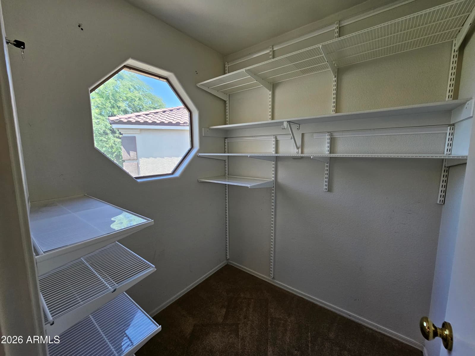 4135 E PINTO Lane, Phoenix, AZ 85050 — photo 20 of 52