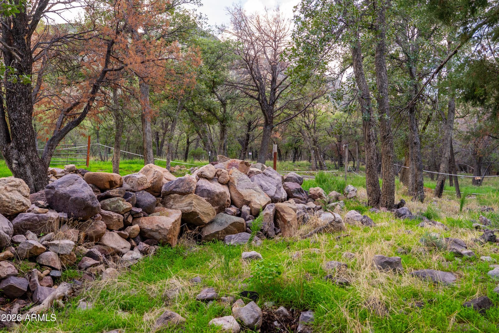 221 E Oso Trail, Hereford, AZ 85615 — photo 51 of 63