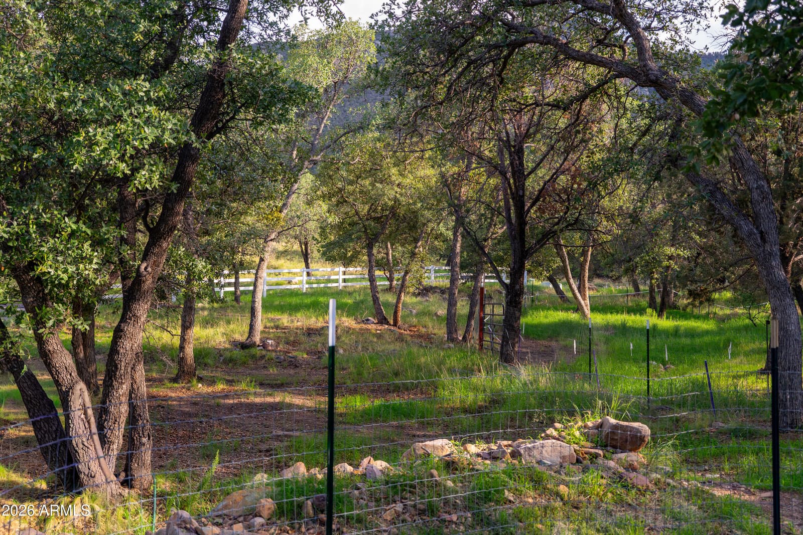221 E Oso Trail, Hereford, AZ 85615 — photo 43 of 63