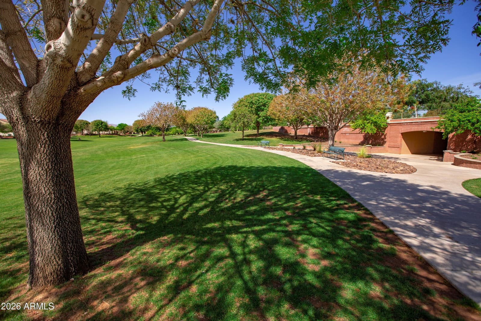 15362 W Eugene Terrace, Surprise, AZ 85379 — photo 145 of 166