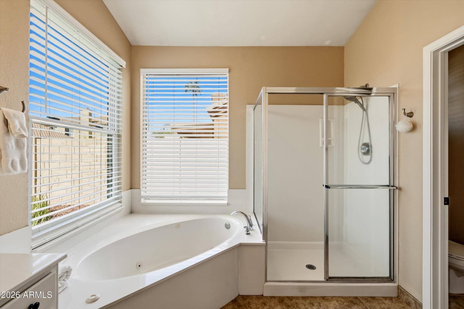 5583 W Orchid Lane, Chandler, AZ 85226 — photo 24 of 43