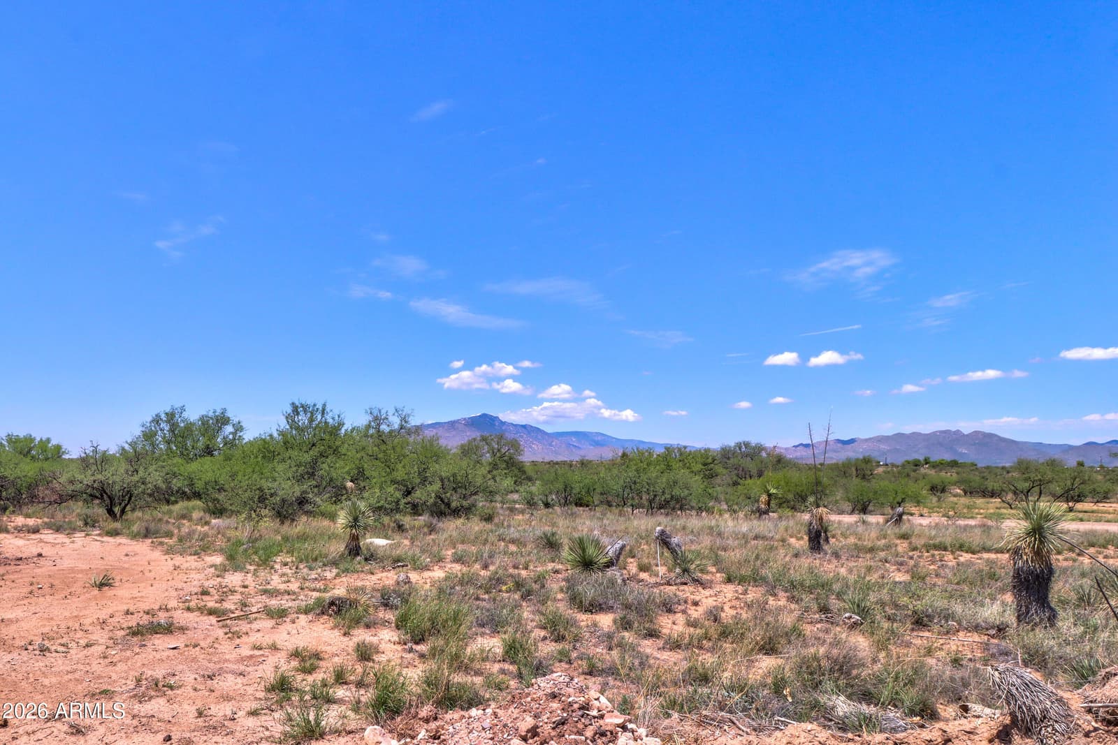 3162 W Century Drive, Benson, AZ 85602 — photo 38 of 38