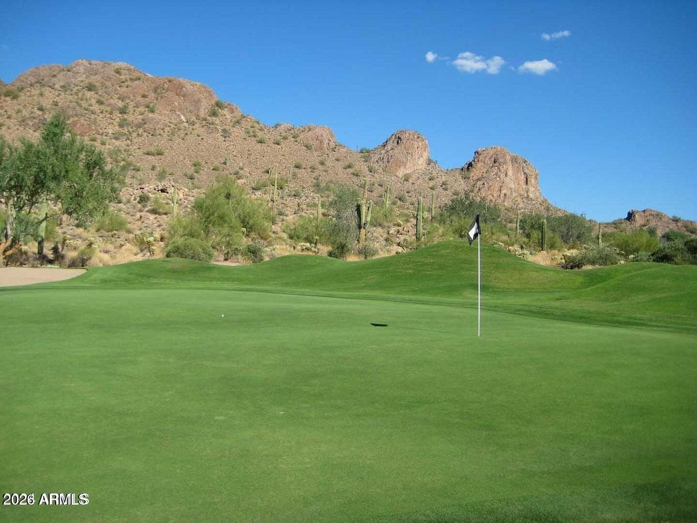 7313 S BENNETT Circle, Gold Canyon, AZ 85118 — photo 89 of 92
