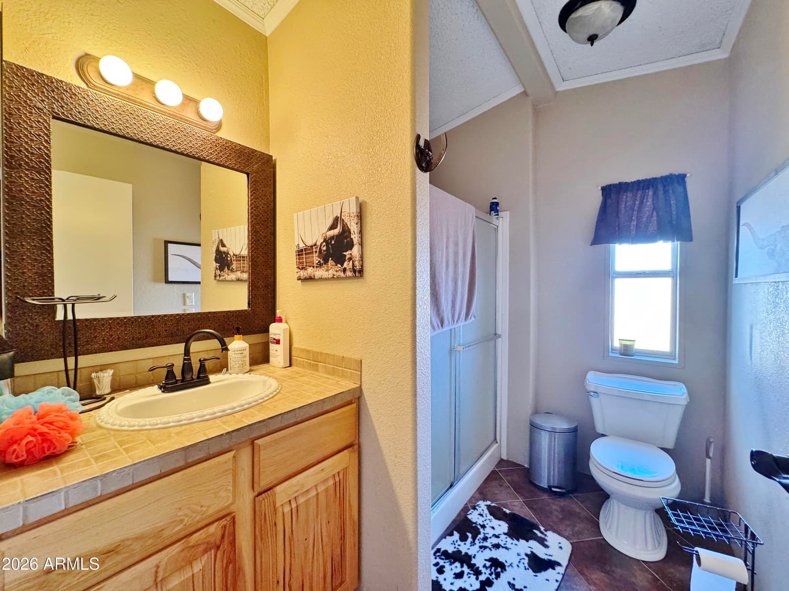 3391 E CORNMAN Road, Casa Grande, AZ 85194 — photo 49 of 80