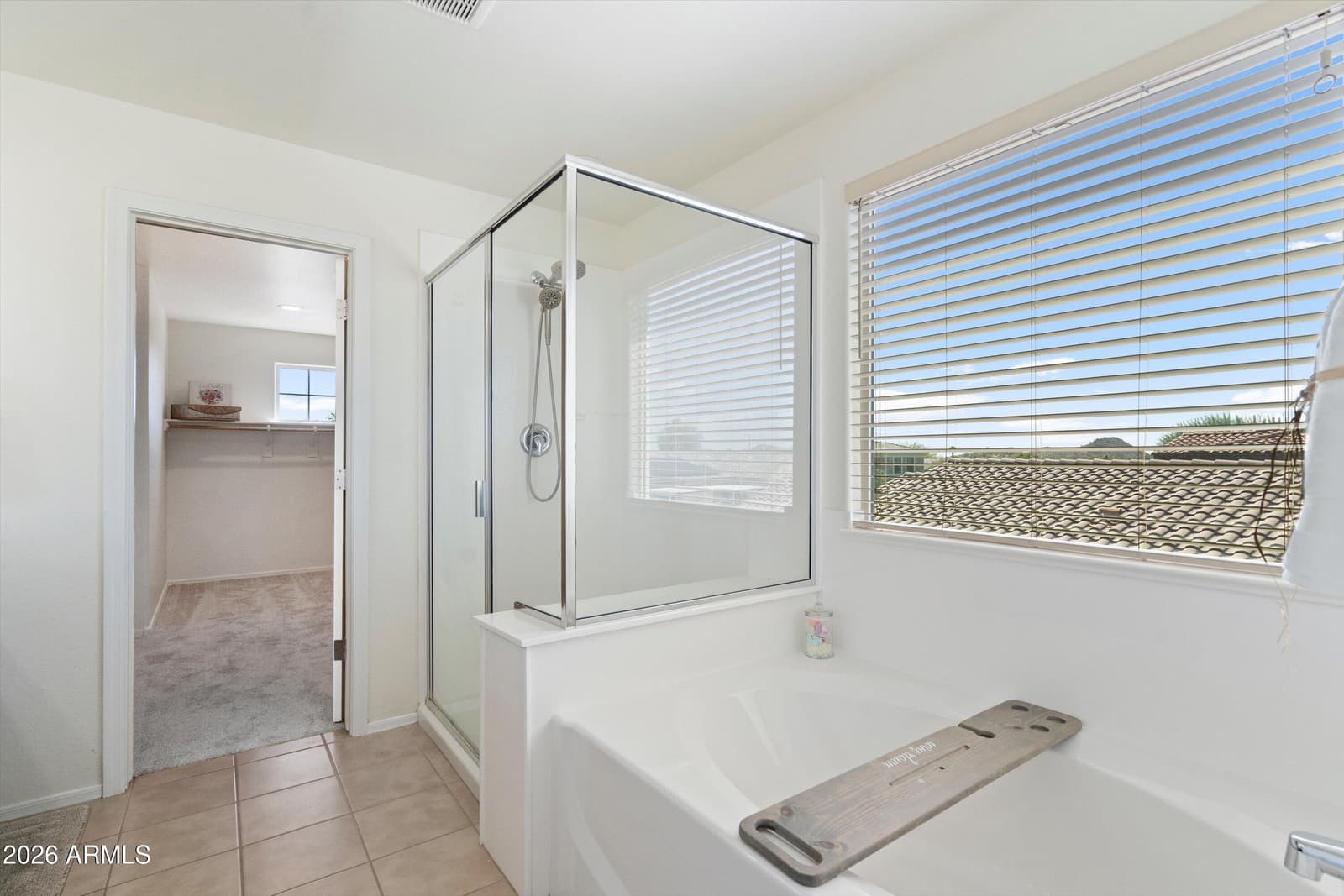 10855 S 175TH Drive, Goodyear, AZ 85338 — photo 34 of 96