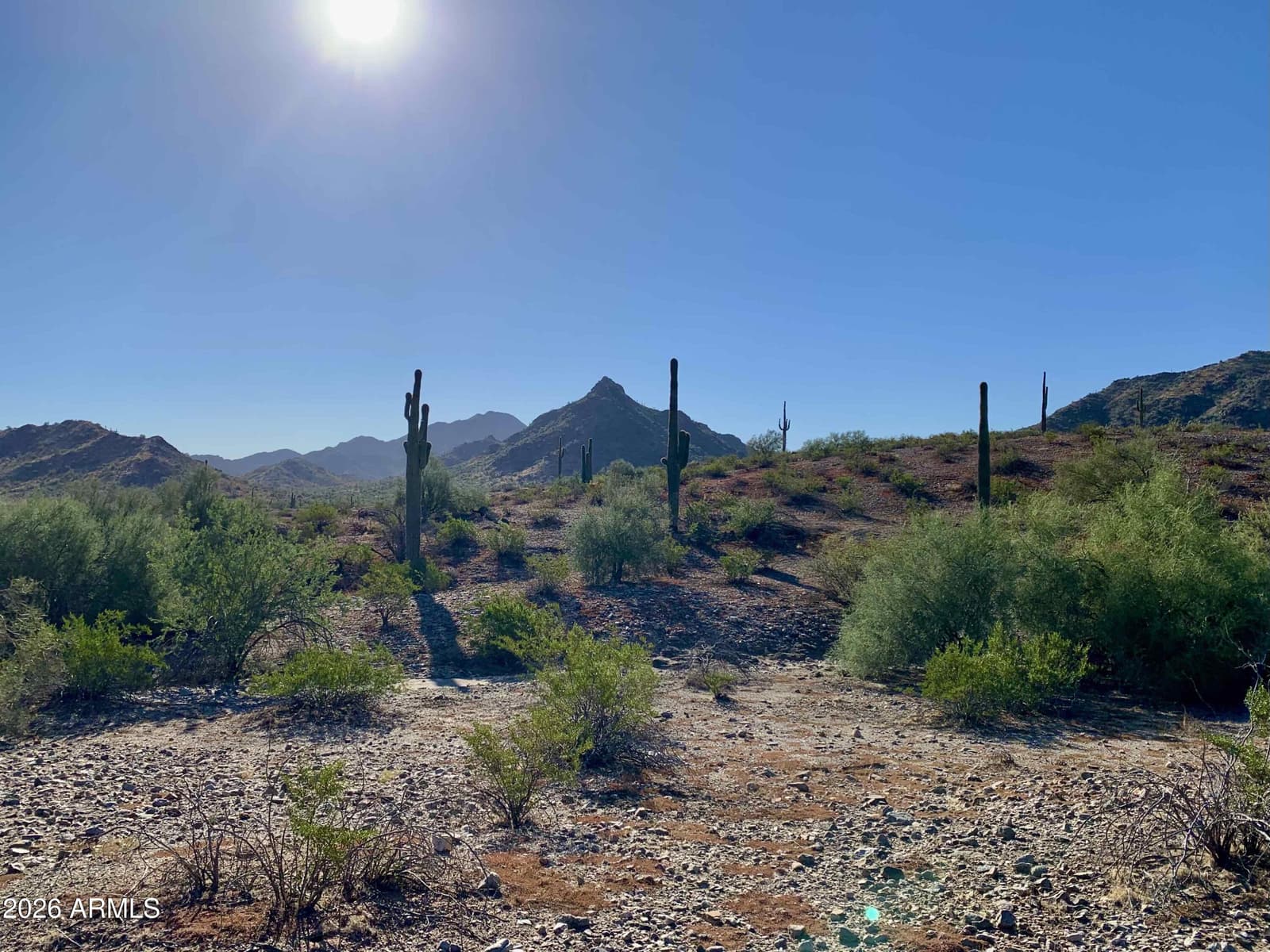 10855 S 175TH Drive, Goodyear, AZ 85338 — photo 84 of 96