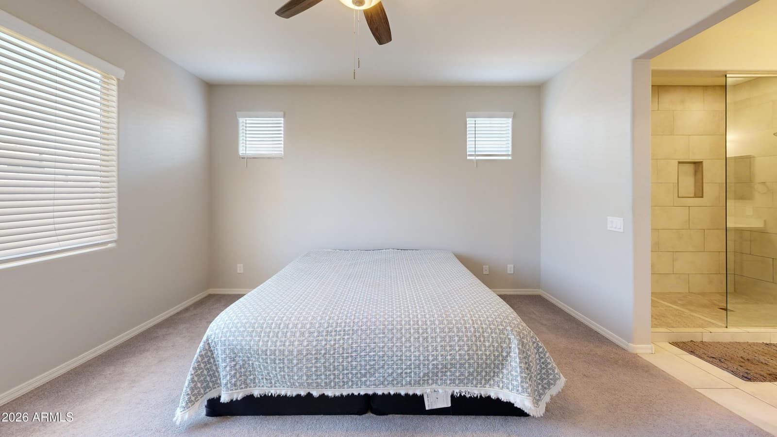 14602 W ASTER Drive, Surprise, AZ 85379 — photo 29 of 52