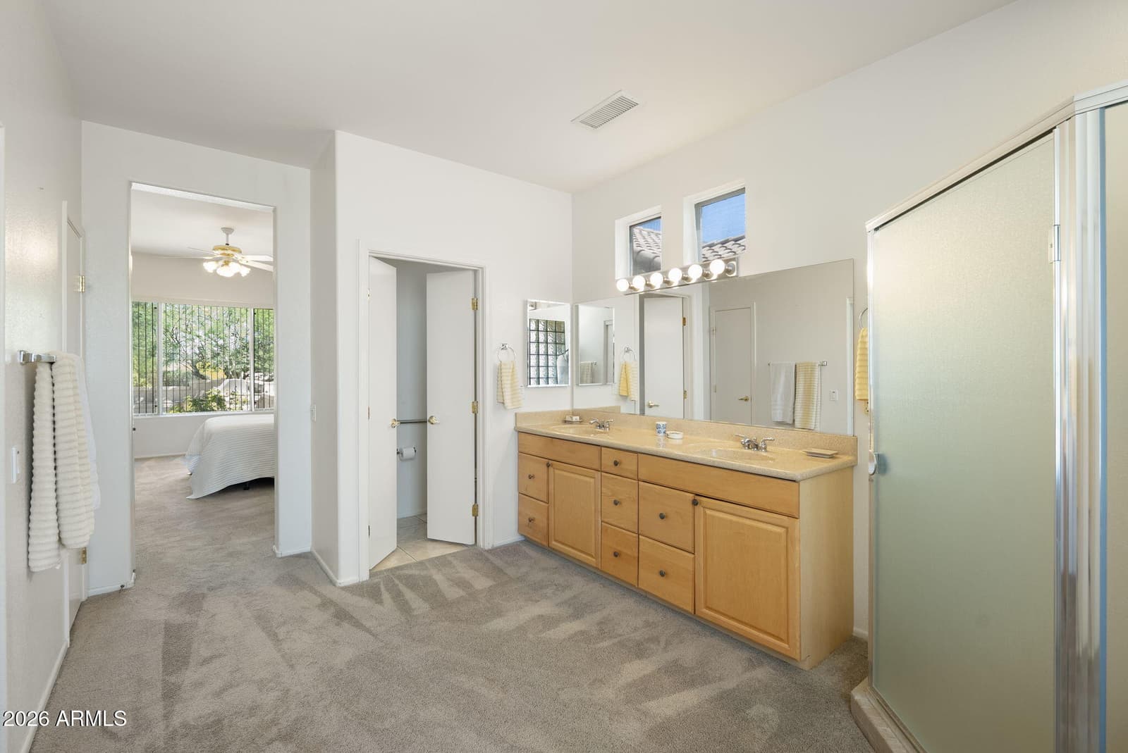 16406 W SILVER CREEK Drive, Surprise, AZ 85374 — photo 24 of 45