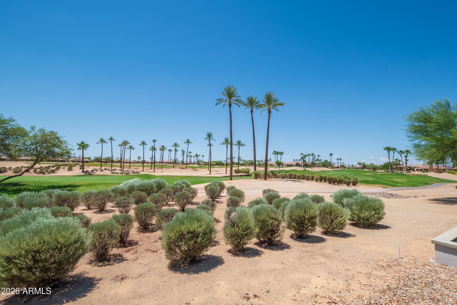 19516 N CORONADO RIDGE Drive, Surprise, AZ 85387 — photo 46 of 62