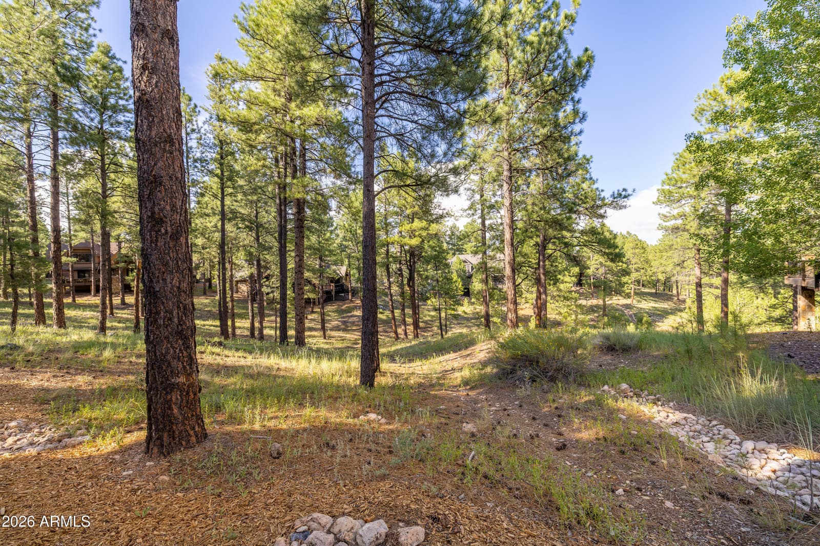 3361 S TOURMALINE Drive, Flagstaff, AZ 86005 — photo 4 of 50