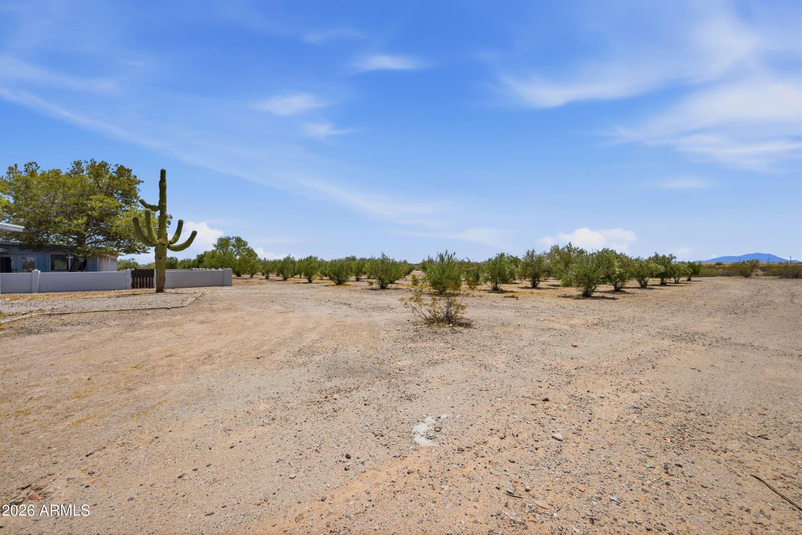 1081 W DANA Avenue, Florence, AZ 85132 — photo 41 of 57