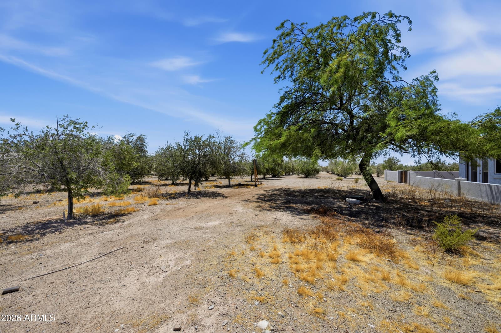 1081 W DANA Avenue, Florence, AZ 85132 — photo 39 of 57