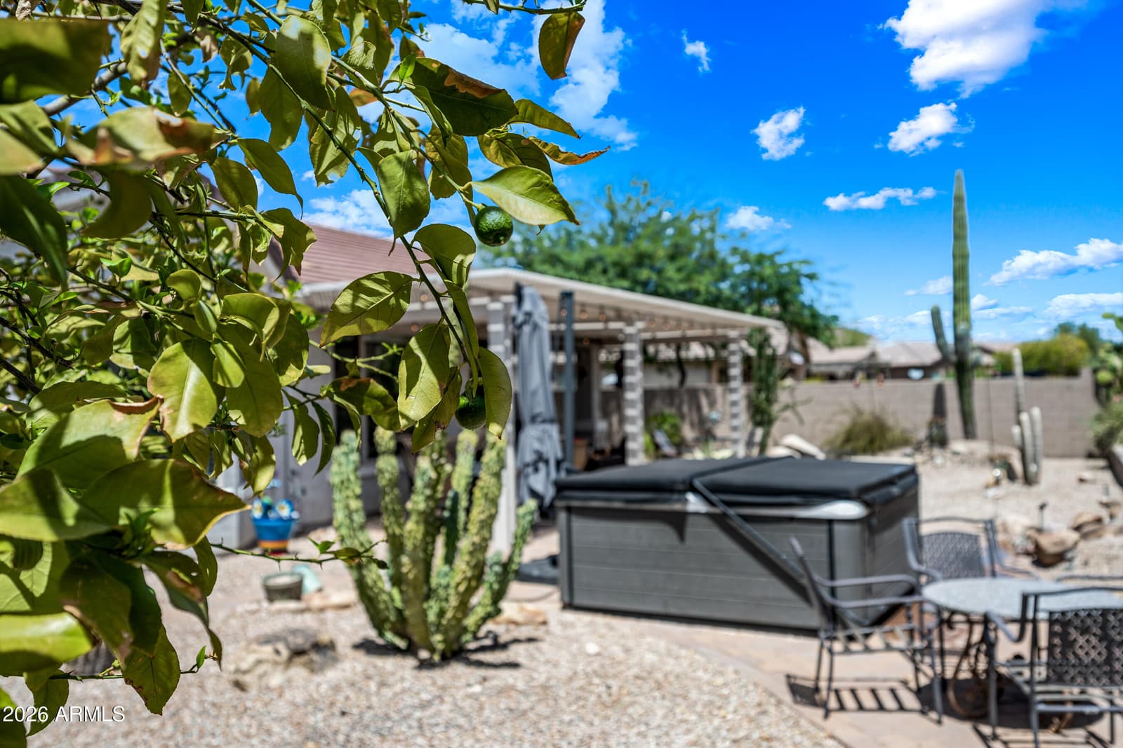 30909 N ORANGE BLOSSOM Circle, San Tan Valley, AZ 85143 — photo 27 of 73