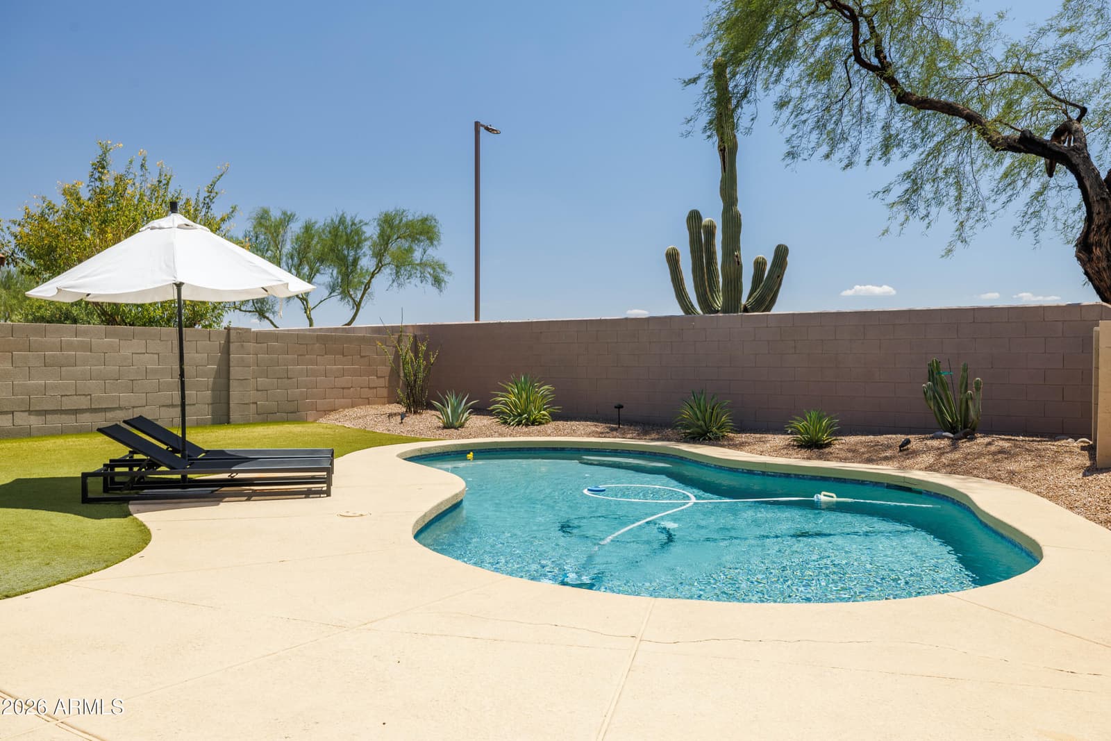 4323 E LONE CACTUS Drive, Phoenix, AZ 85050 — photo 31 of 35