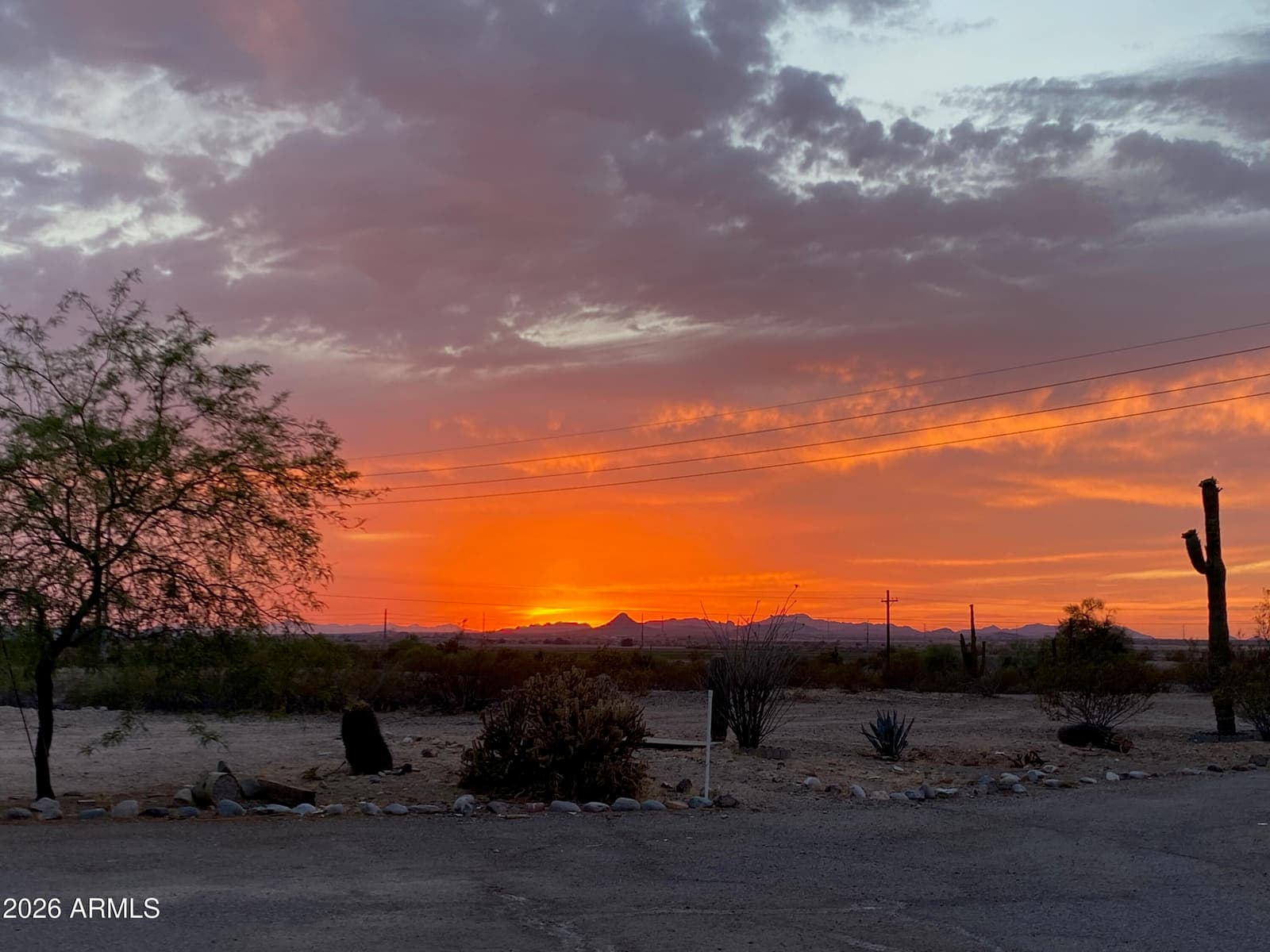 1081 W DANA Avenue, Florence, AZ 85132 — photo 49 of 57