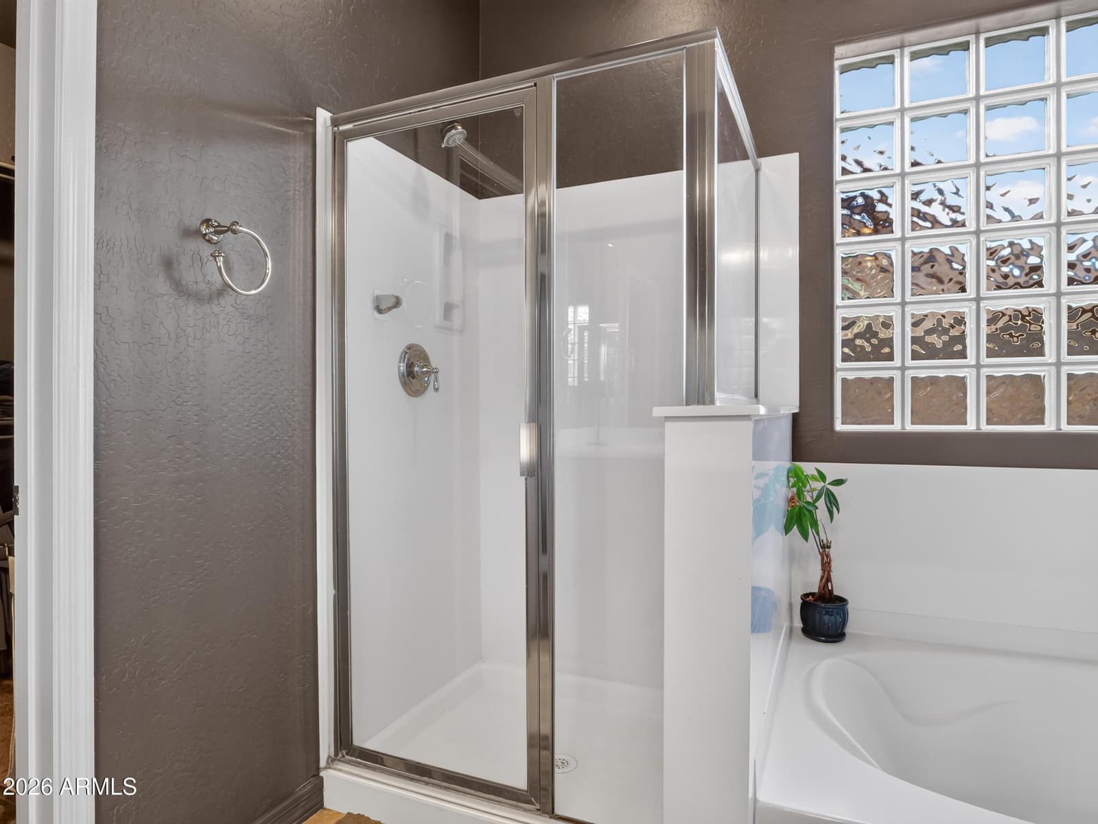 27780 N 90TH Lane, Peoria, AZ 85383 — photo 29 of 33