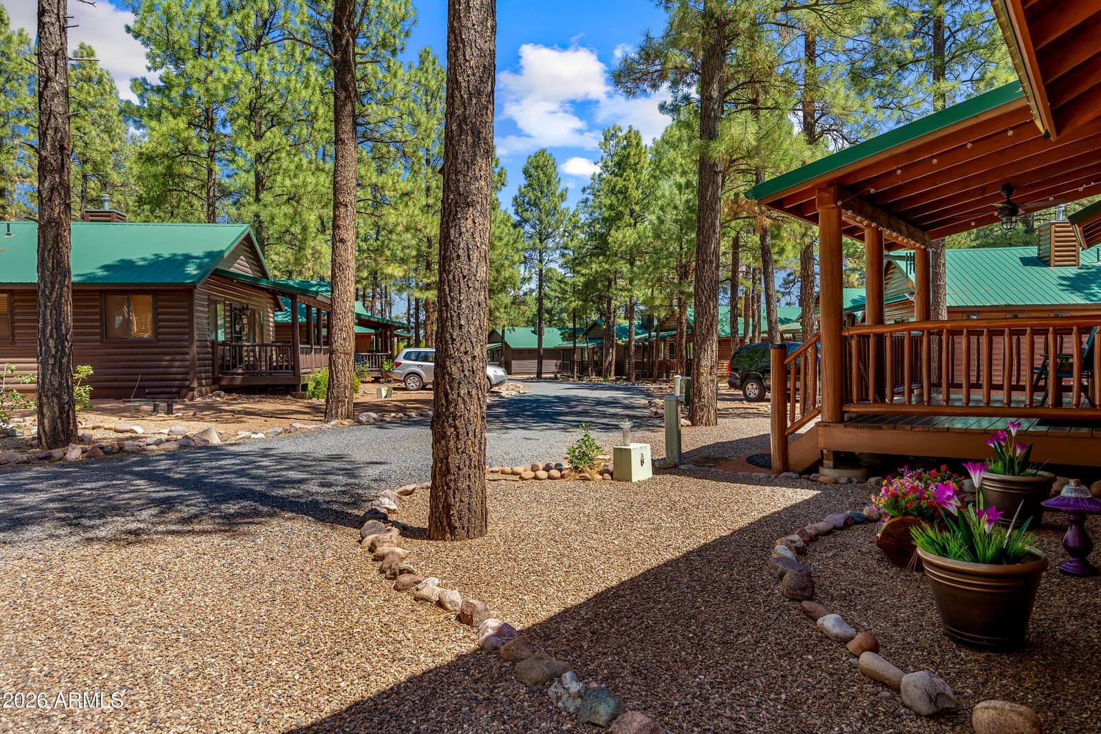 2715 HIGH PINE Loop, Overgaard, AZ 85933 — photo 20 of 50