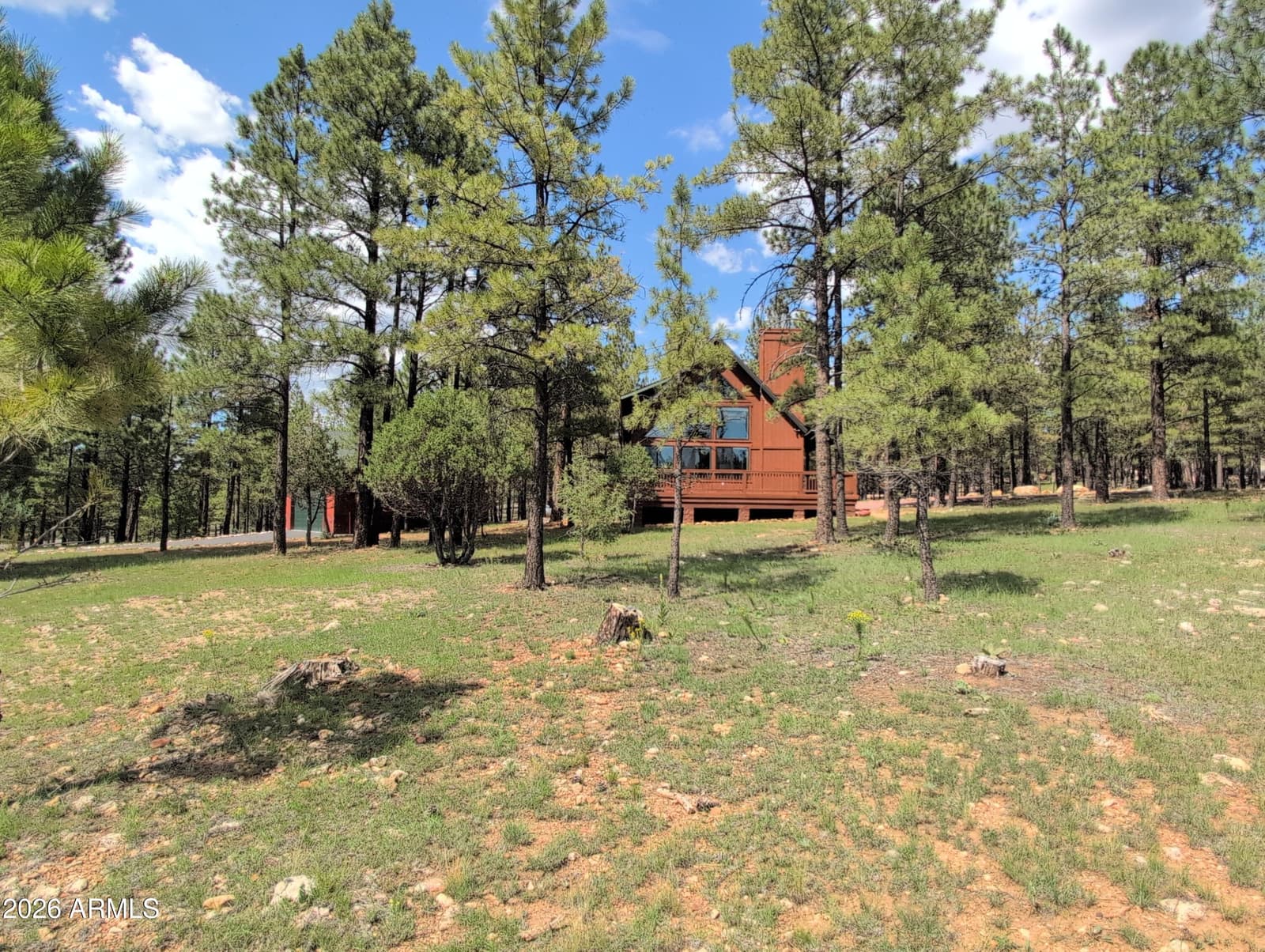3738 W Apache Drive, Happy Jack, AZ 86024 — photo 3 of 3
