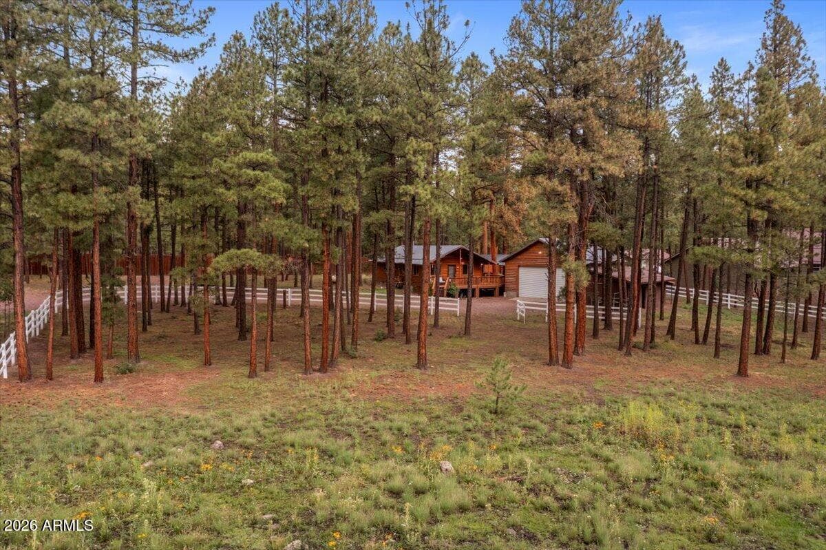 11 WHITETAIL Road, Alpine, AZ 85920 — photo 34 of 47