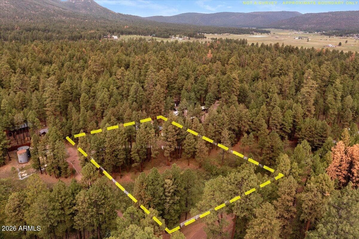 11 WHITETAIL Road, Alpine, AZ 85920 — photo 40 of 47