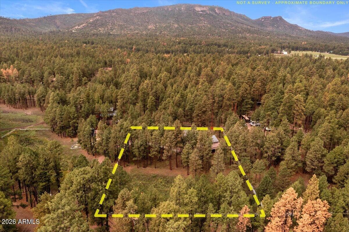 11 WHITETAIL Road, Alpine, AZ 85920 — photo 41 of 47