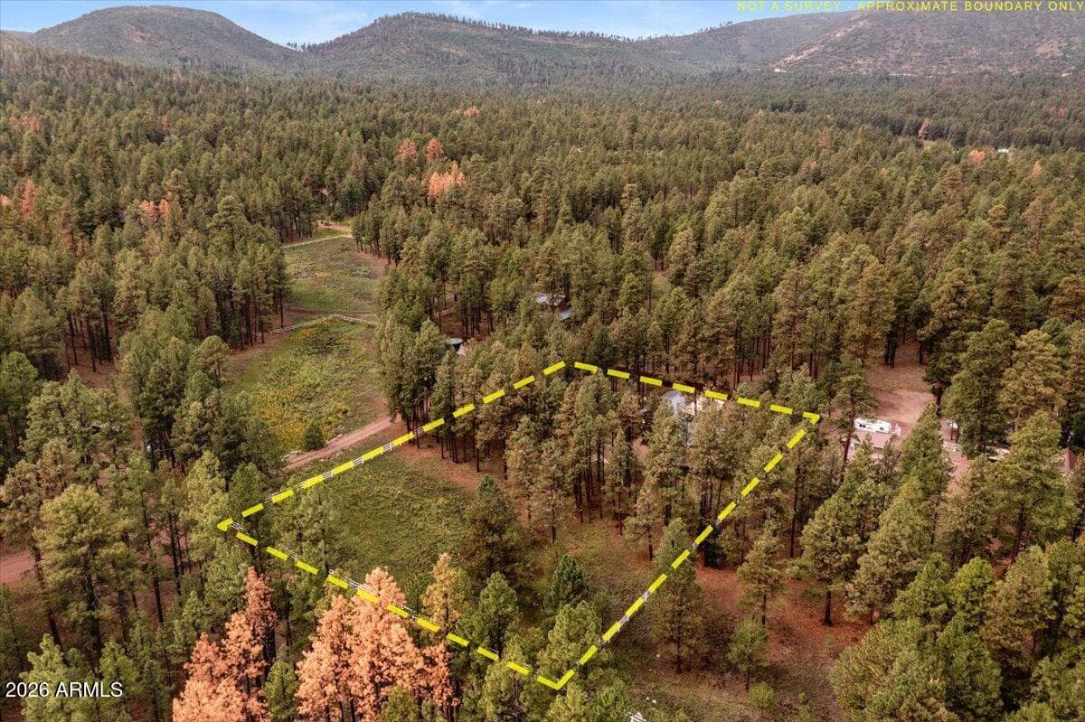 11 WHITETAIL Road, Alpine, AZ 85920 — photo 42 of 47