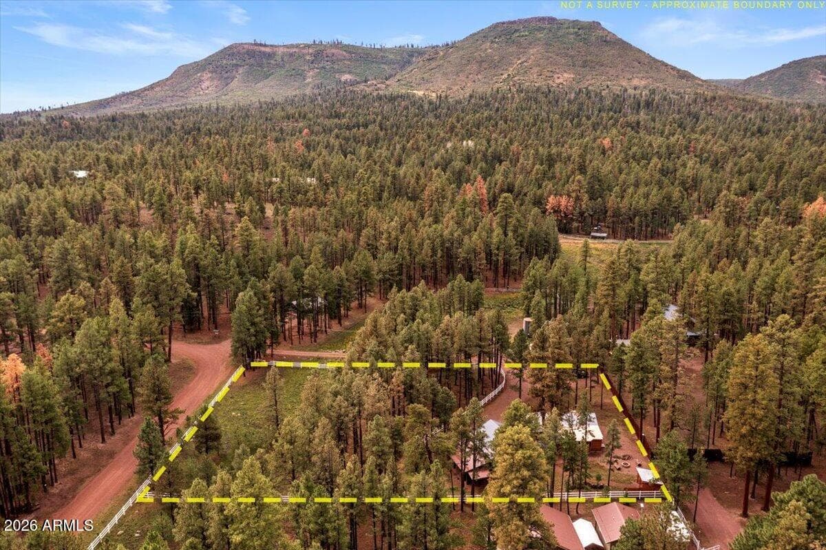 11 WHITETAIL Road, Alpine, AZ 85920 — photo 43 of 47