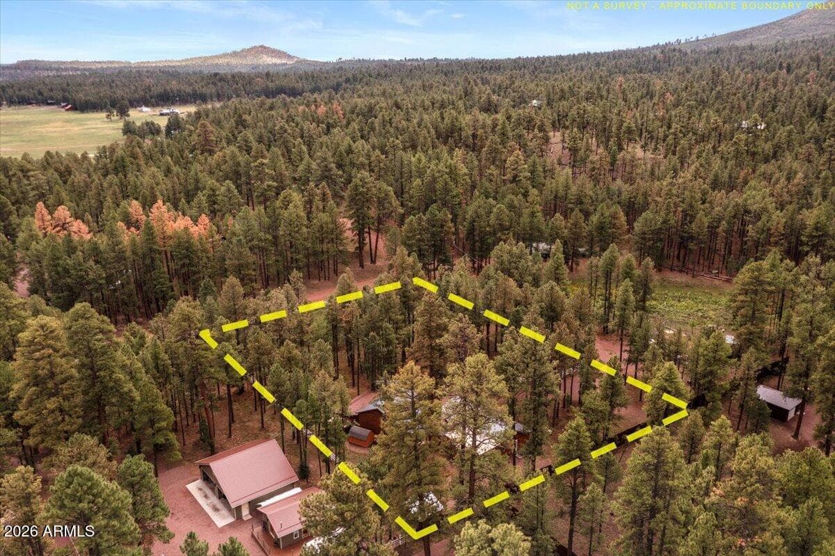 11 WHITETAIL Road, Alpine, AZ 85920 — photo 44 of 47